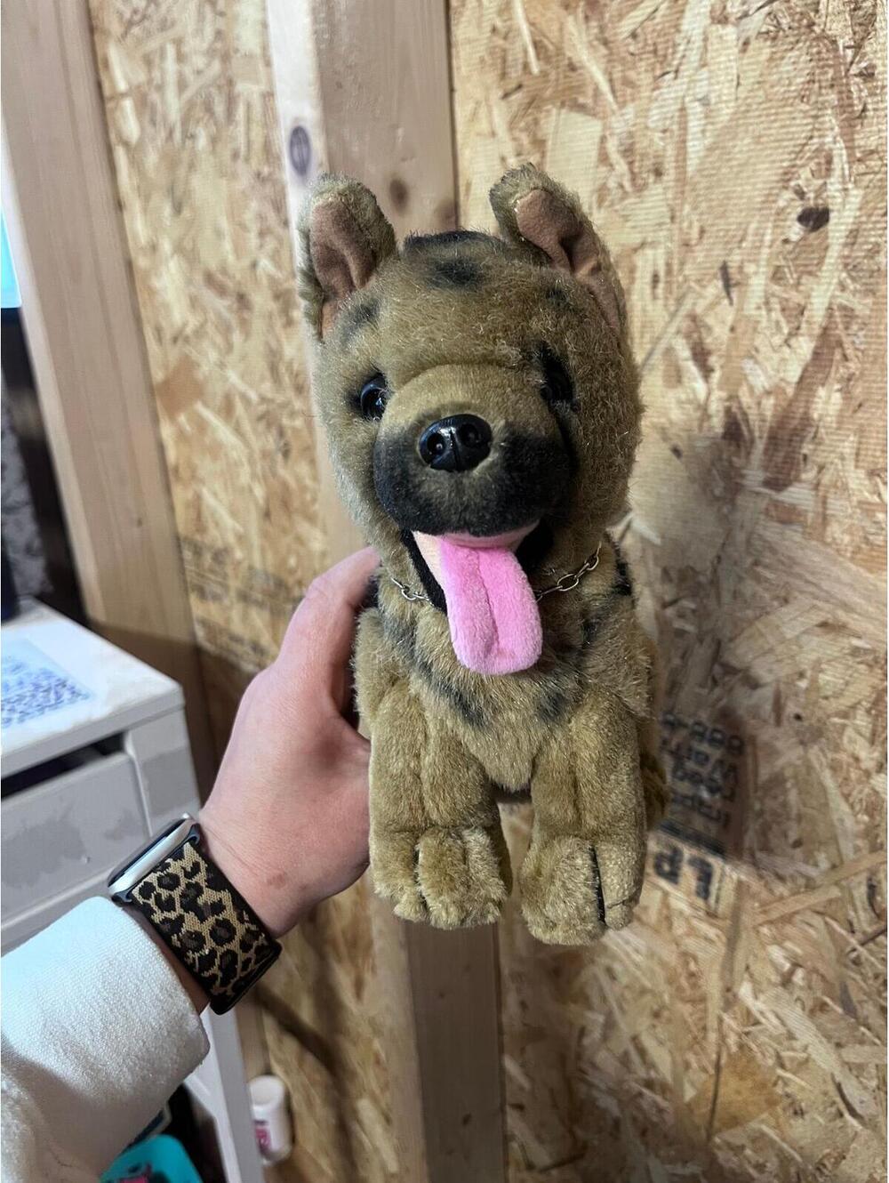 Vintage German Shepard - 10